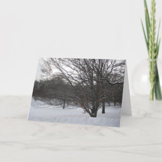 Cartes Pour Fêtes Annuelles Arbres en neige II