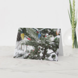 Cartes Pour Fêtes Annuelles Arbres neigeux avec lumières de Noël