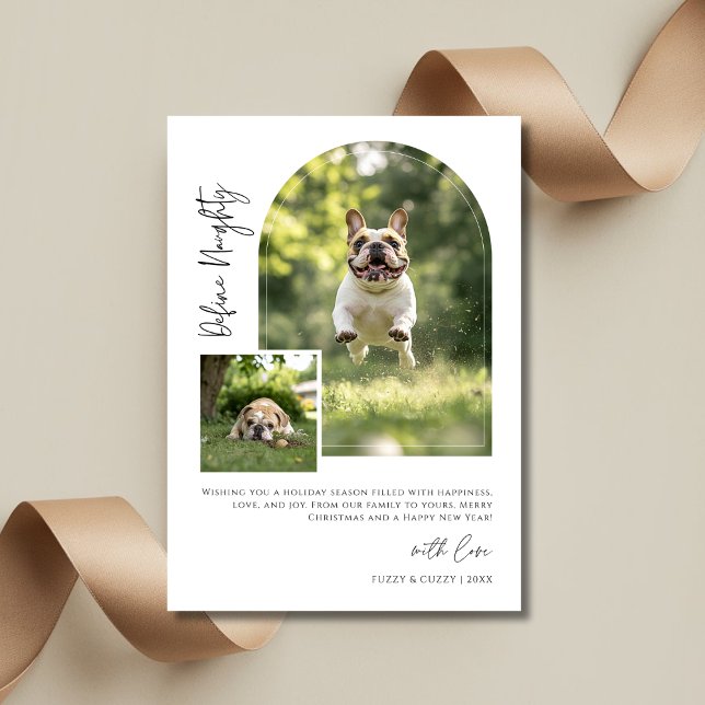 Cartes Pour Fêtes Annuelles Arch Photo Définir Naughty Funny Chien Noël (Créateur téléchargé)