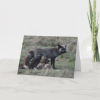 Argent Mère Fox Nursing Kits Baby Art Frameable