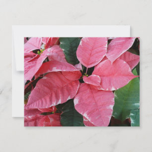 Cartes Pour Fêtes Annuelles Argent Star Marbre Poinsettias Pink Holiday Floral
