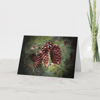Cartes Pour Fêtes Annuelles Arrangement en pin de Noël
