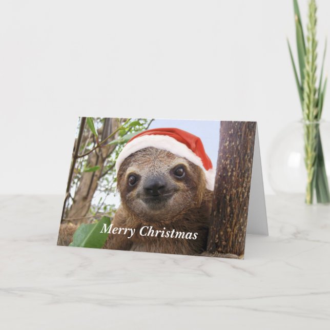 Cartes Pour Fêtes Annuelles Arrière - plan de Noël (Devant)