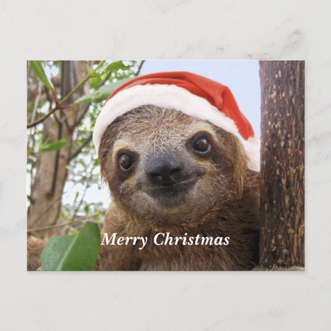 Cartes Pour Fêtes Annuelles Arrière - plan de Noël (Devant)