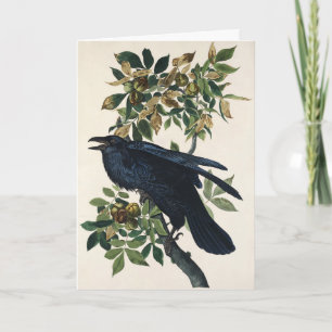 Cartes Pour Fêtes Annuelles Art de la nature de corbeau d'Audubon vintage
