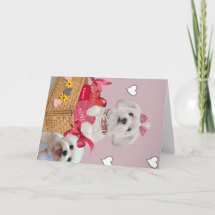 Cartes Pour Fêtes Annuelles Art maltais de Valentine