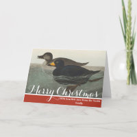 Art vintage d'oie américaine de Audubon