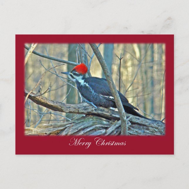 Cartes Pour Fêtes Annuelles Articles de Joyeux Noël de pivert de Pileated (Devant)