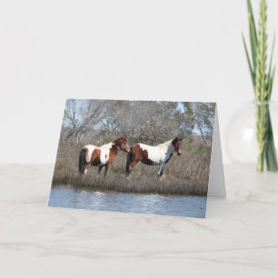 Cartes Pour Fêtes Annuelles Assateague Ponies, Merci