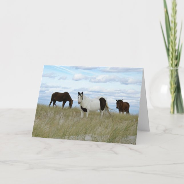 Cartes Pour Fêtes Annuelles Assateague Ponies, Merci (Devant)
