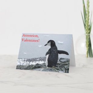 Cartes Pour Fêtes Annuelles Attention Valentines !