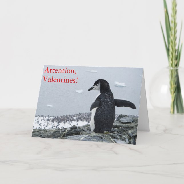Cartes Pour Fêtes Annuelles Attention Valentines ! (Devant)