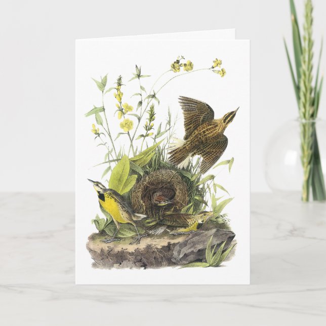 Cartes Pour Fêtes Annuelles Audubon Meadowlard oriental (Devant)