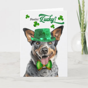 Cartes Pour Fêtes Annuelles Australian Cattle Dog Lucky St Patrick's Day