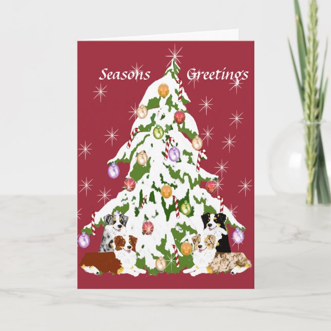 Cartes Pour Fêtes Annuelles Australian Shepherd ~ Joyeux Noël (Devant)