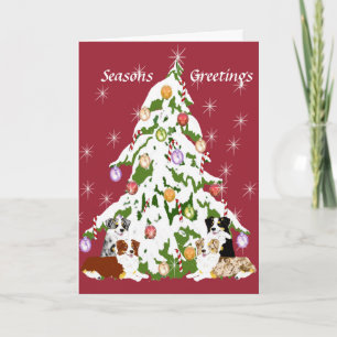 Cartes Pour Fêtes Annuelles Australian Shepherd ~ Joyeux Noël