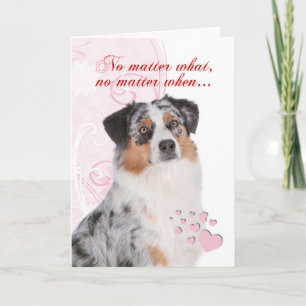 Cartes Pour Fêtes Annuelles Australian Shepherd Valentine's Day Card