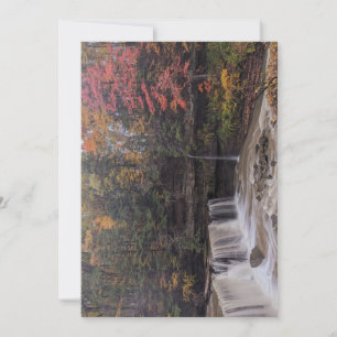 Cartes Pour Fêtes Annuelles Automne à Great Falls of Tinkers Creek