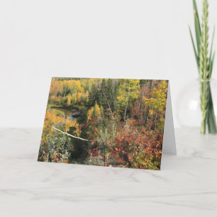 Cartes Pour Fêtes Annuelles Automne canadien