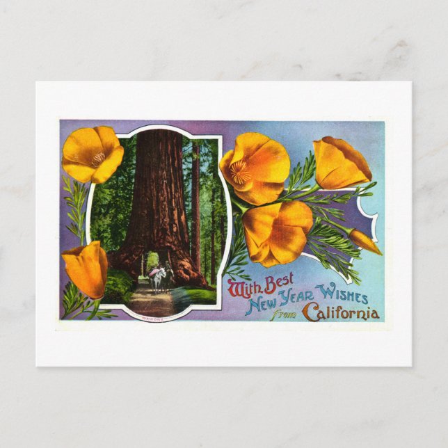 Cartes Pour Fêtes Annuelles Avec les meilleurs souhaits de nouvelle année de (Devant)