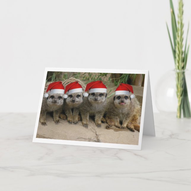 Cartes Pour Fêtes Annuelles Ayez Noël de Meerkat ! (Devant)