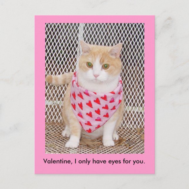 Cartes Pour Fêtes Annuelles Ayez seulement les yeux pour vous (Devant)