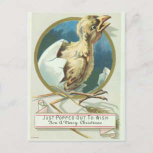 Cartes Pour Fêtes Annuelles Baby Chick Victorian Christmas Card