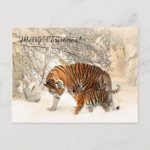 Cartes Pour Fêtes Annuelles Baby tiger and Tiger maman dans une forêt enneigée
