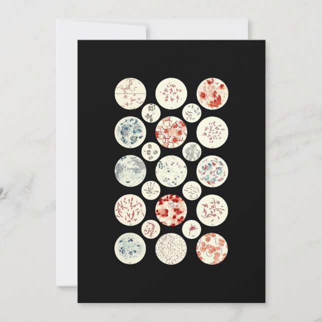Cartes Pour Fêtes Annuelles bactéries drôle microbiologie bactéries science mi (Devant)