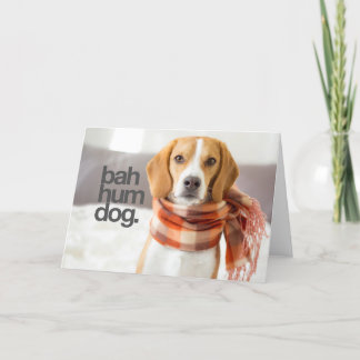 Cartes Pour Fêtes Annuelles "Bah Hum Dog"