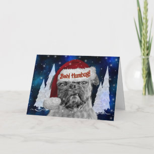 Cartes Pour Fêtes Annuelles Bah Humbug Funny Pug Dog