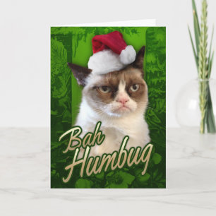 Cartes Pour Fêtes Annuelles Bah Humbug Grumpy Chat