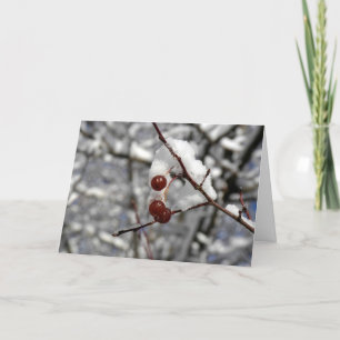 Cartes Pour Fêtes Annuelles Baies d'hiver