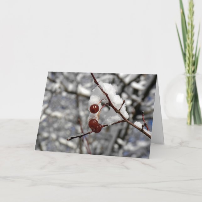 Cartes Pour Fêtes Annuelles Baies d'hiver (Devant)
