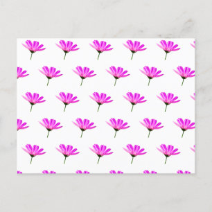 Cartes Pour Fêtes Annuelles Baise rose