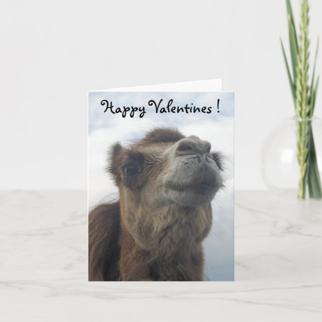 Cartes Pour Fêtes Annuelles Baiser de chameau (Devant)