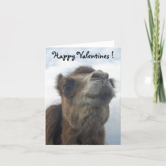 Cartes Pour Fêtes Annuelles Baiser de chameau