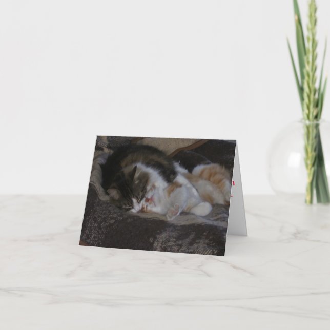 Cartes Pour Fêtes Annuelles Baisers d'amour et de chaton (Devant)