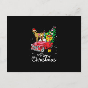 Cartes Pour Fêtes Annuelles Balades de chèvre Rouge Voiture Noël