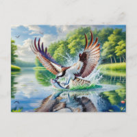 Balbuzard pêchant dans une rivière