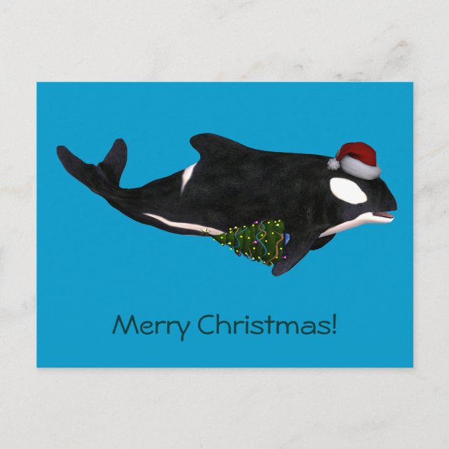 Cartes Pour Fêtes Annuelles Baleine tueuse (Devant)