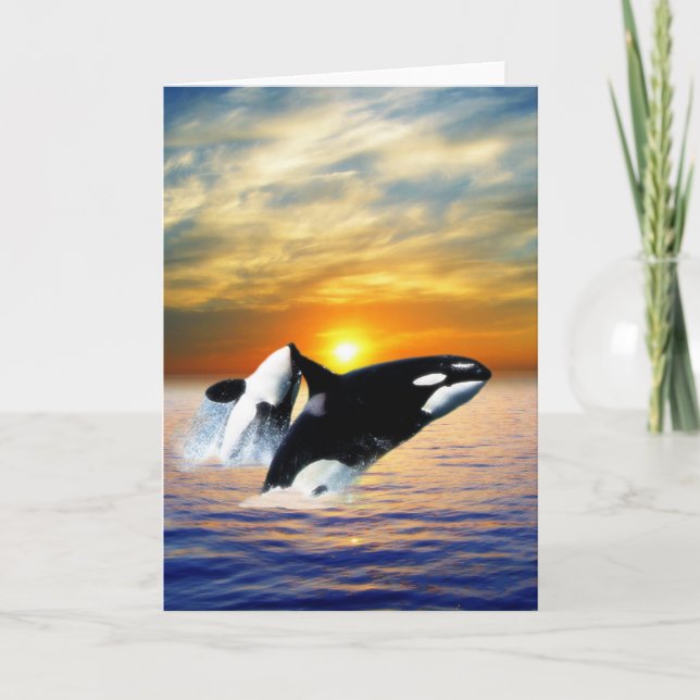 Cartes Pour Fêtes Annuelles Baleines au coucher du soleil (Devant)
