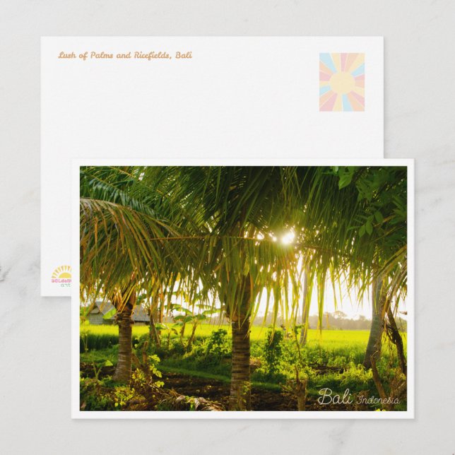 Cartes Pour Fêtes Annuelles Bali Palm Trees & Ricefield Postcard (Devant / Derrière)