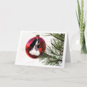 Cartes Pour Fêtes Annuelles Balle de Cocker
