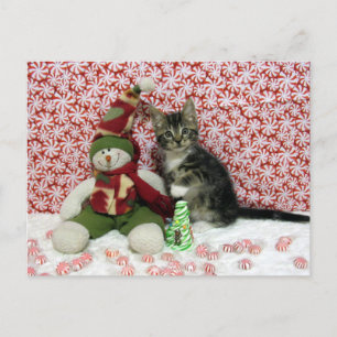 Cartes Pour Fêtes Annuelles Bandit et le bonhomme de neige - Chat / Kitten Noë