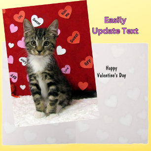 Cartes Pour Fêtes Annuelles Bandit's Valentine's - Chat / Kitten Valentine Car