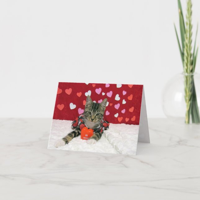 Cartes Pour Fêtes Annuelles Bandit's Valentine's Heart - Cat / Kitten Card (Devant)