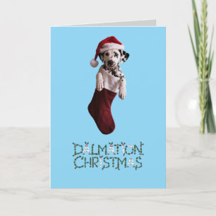 Cartes Pour Fêtes Annuelles Bas de Noël dalmate
