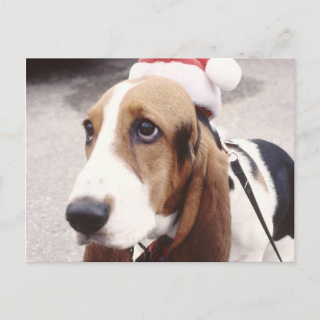 Cartes Pour Fêtes Annuelles Basset Hound à Santa Hat (Devant)