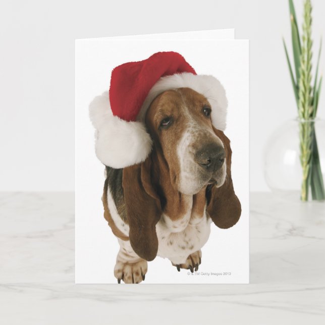 Cartes Pour Fêtes Annuelles Basset Hound dans le casquette de Père Noël (Devant)